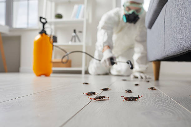 Commercial Kitchen Cockroach Control in Idaho Falls